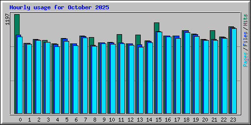 Hourly usage for October 2025