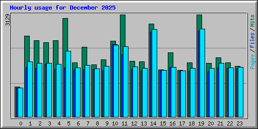 Hourly usage for December 2025