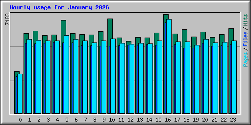 Hourly usage for January 2026