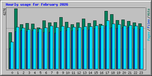 Hourly usage for February 2026